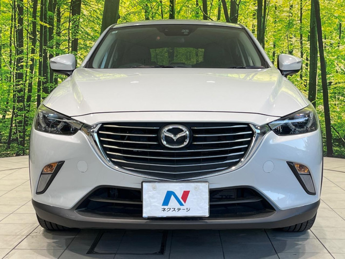 2016 Mazda CX-3 LDA-DK5FW (UW-6a068d719a87f)[16]