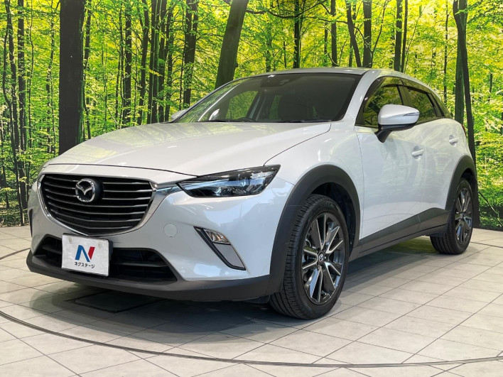 2016 Mazda CX-3 LDA-DK5FW (UW-6a068d719a87f)[15]
