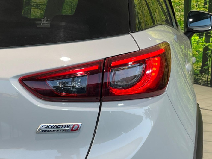 2016 Mazda CX-3 LDA-DK5FW (UW-6a068d719a87f)[25]