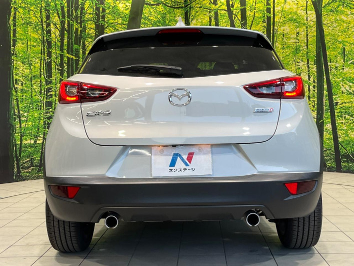2016 Mazda CX-3 LDA-DK5FW (UW-6a068d719a87f)[24]