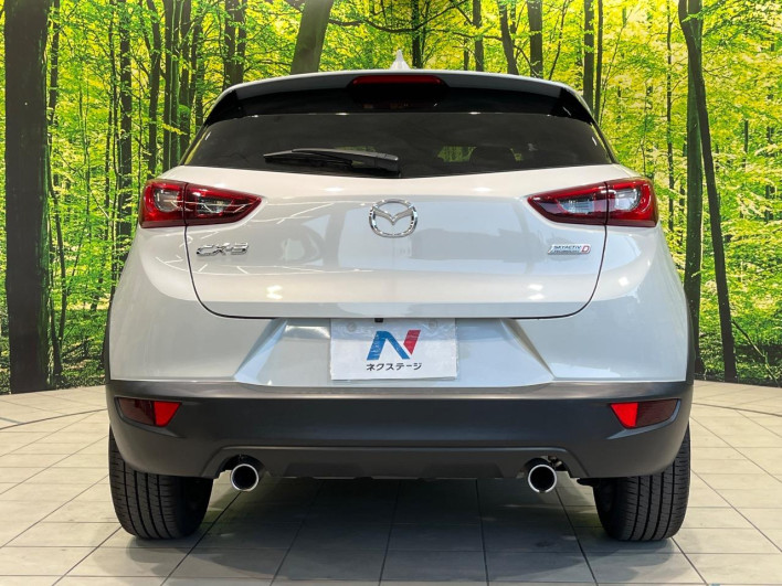 2016 Mazda CX-3 LDA-DK5FW (UW-6a068d719a87f)[20]