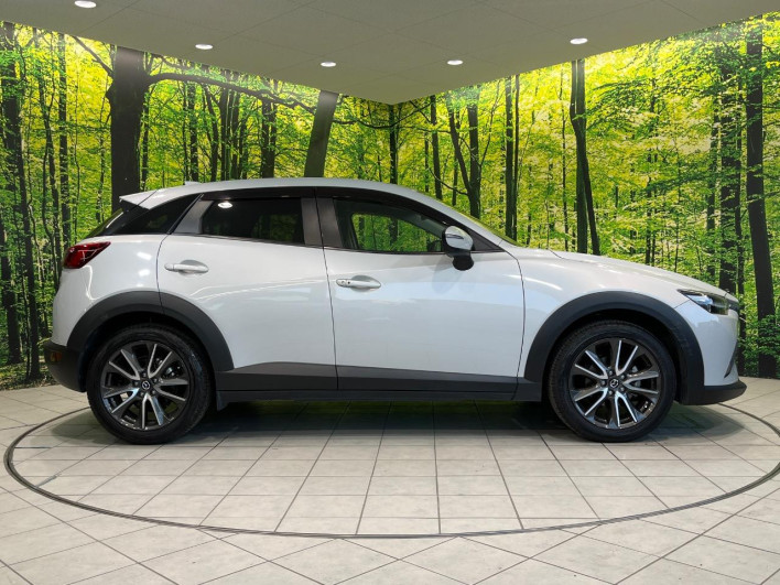 2016 Mazda CX-3 LDA-DK5FW (UW-6a068d719a87f)[18]