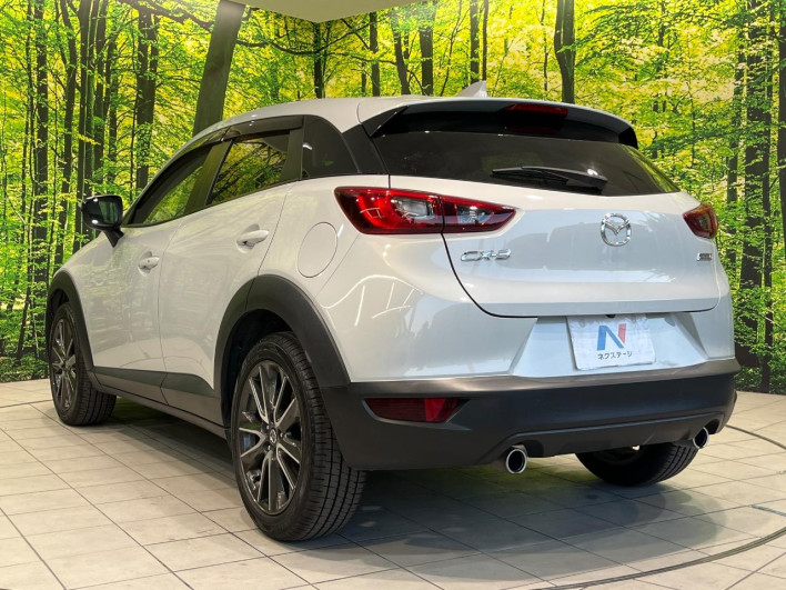 2016 Mazda CX-3 LDA-DK5FW (UW-6a068d719a87f)[21]