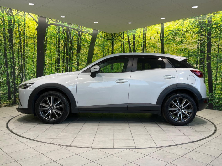 2016 Mazda CX-3 LDA-DK5FW (UW-6a068d719a87f)[22]