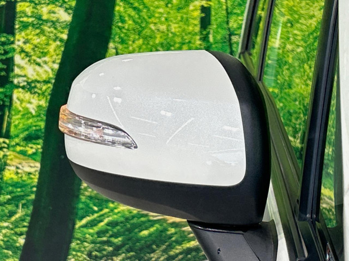 2013 Subaru Stella DBA-LA100F (UW-6a068de35309e)[7]