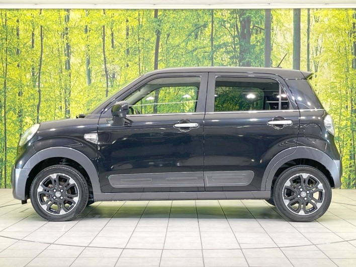 2018 Daihatsu Cast DBA-LA250S (UW-6a068dead12ac)[11]
