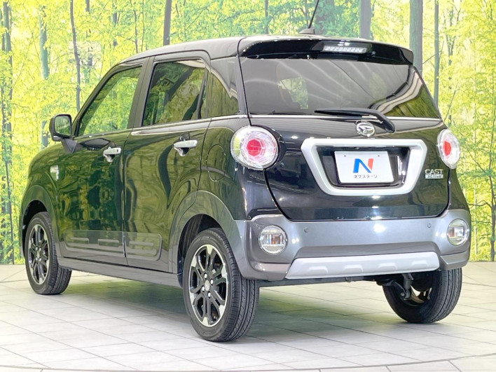 2018 Daihatsu Cast DBA-LA250S (UW-6a068dead12ac)[10]