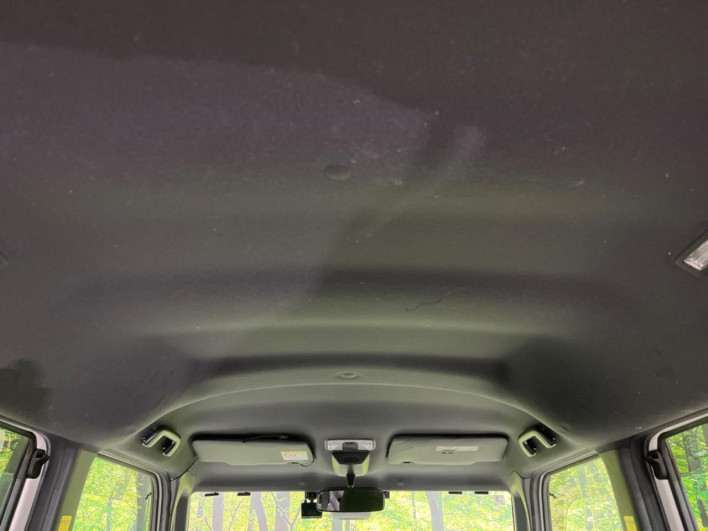 2019 Toyota Pixis Mega DBA-LA710A (UW-6a068df98255c)[12]