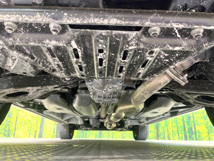 2024 Mitsubishi Delica D:5 3DA-CV1W (UW-6a0930c616dcc)[14]