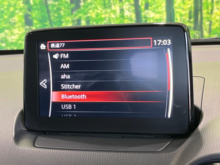 2018 Mazda Demio LDA-DJ5FS (UW-6a0930c99bcf5)[12]