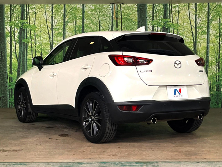 2017 Mazda CX-3 LDA-DK5FW (UW-6a0930cae3611)[18]