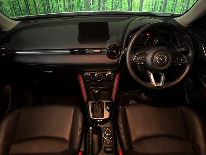 2017 Mazda CX-3 LDA-DK5FW (UW-6a0930cae3611)[26]