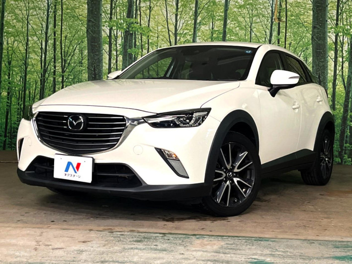 2017 Mazda CX-3 LDA-DK5FW (UW-6a0930cae3611)[4]