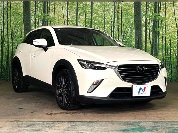 2017 Mazda CX-3 LDA-DK5FW (UW-6a0930cae3611)[11]