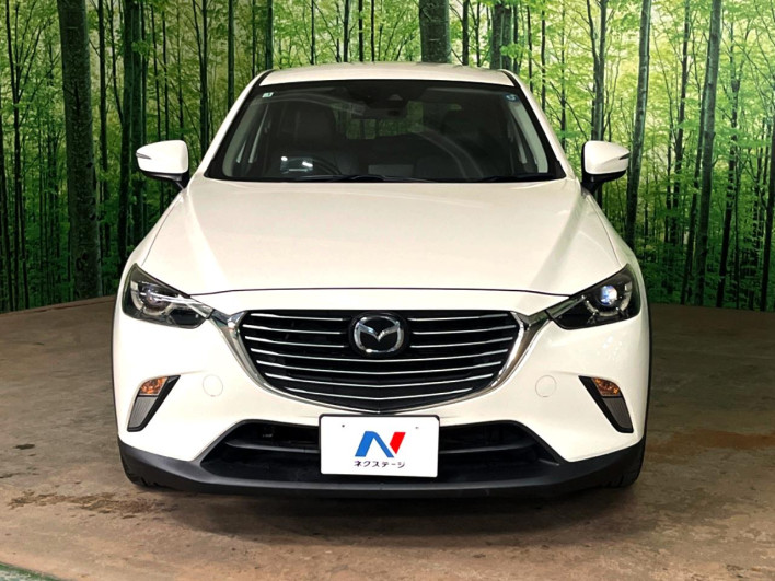 2017 Mazda CX-3 LDA-DK5FW (UW-6a0930cae3611)[12]