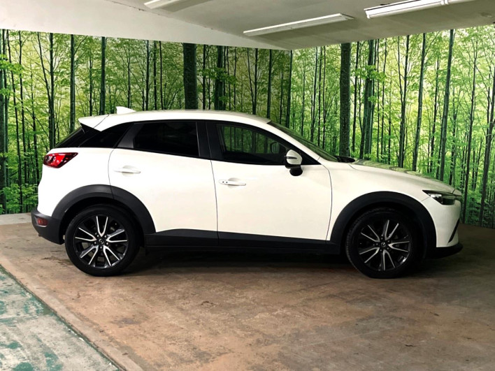 2017 Mazda CX-3 LDA-DK5FW (UW-6a0930cae3611)[17]