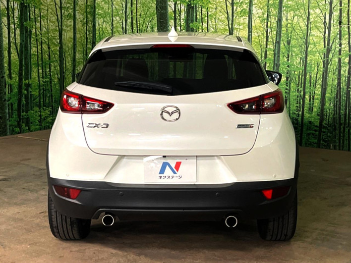 2017 Mazda CX-3 LDA-DK5FW (UW-6a0930cae3611)[19]
