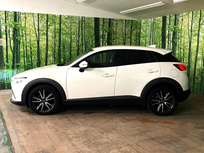 2017 Mazda CX-3 LDA-DK5FW (UW-6a0930cae3611)[10]