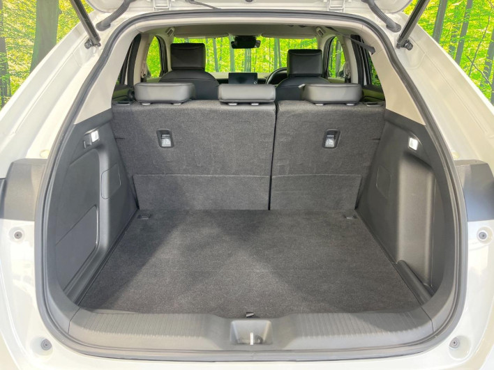 2021 Honda VEZEL 6AA-RV5 (UW-6a0931b4abb75)[19]
