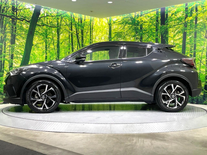 2017 Toyota C-HR DAA-ZYX10 (UW-6a093203d9b5d)[5]