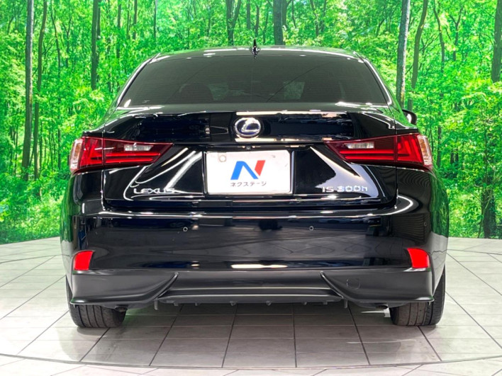 2013 Lexus IS DAA-AVE30 (UW-6a0a81ad739c4)[8]