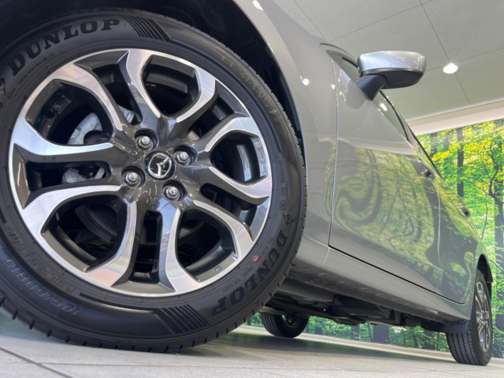 2016 Mazda Demio LDA-DJ5AS (UW-6a0a81d7bc89d)[14]