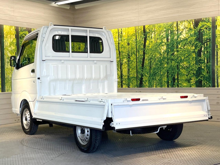 2024 Mitsubishi Mini Cab Truck 3BD-DS16T (UW-6a0a81dba270c)[14]