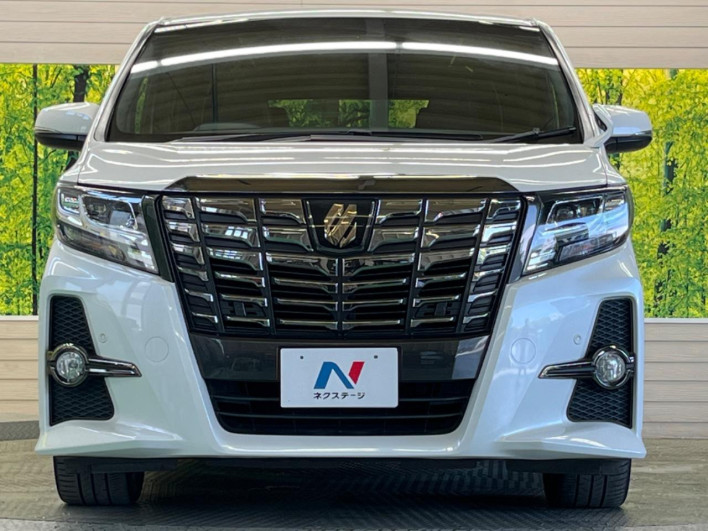 2018 Toyota Alphard DBA-AGH30W (UW-6a0c6bed3578b)[5]