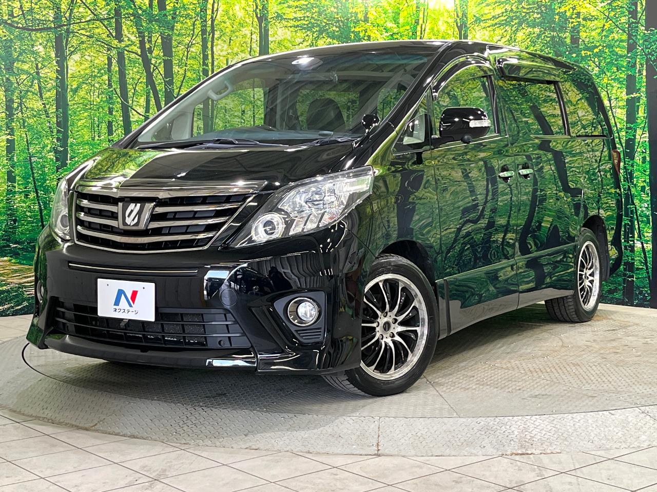 2013 Toyota Alphard DBA-ANH25W
