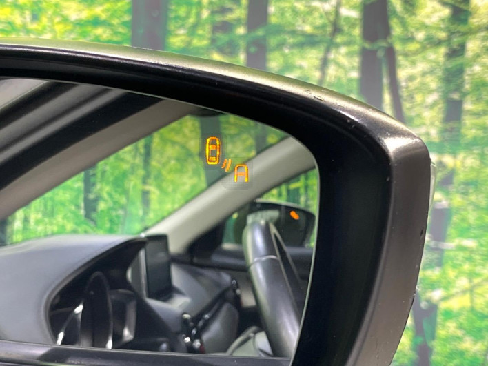 2015 Mazda CX-3 LDA-DK5AW (UW-6a0c6c2a743cf)[20]