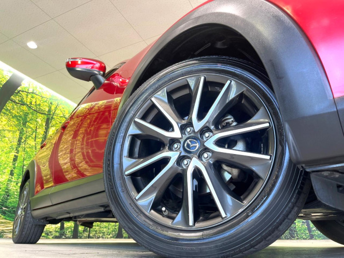 2015 Mazda CX-3 LDA-DK5FW (UW-6a0c6c2ae77a2)[20]