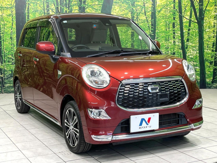 2015 Daihatsu Cast DBA-LA250S (UW-6a0c6cb4c89ee)[5]