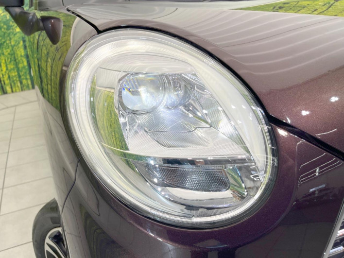 2017 Daihatsu Cast DBA-LA250S (UW-6a0c6cb55b798)[12]
