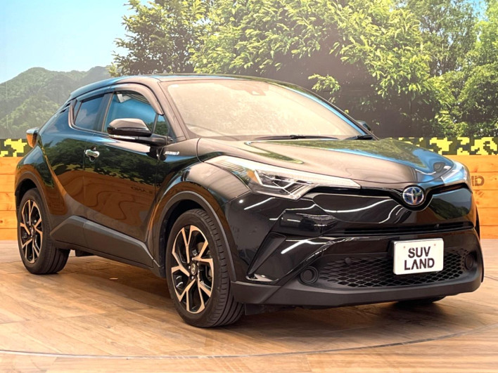 2018 Toyota C-HR DAA-ZYX10 (UW-6a0c6dac7925c)[9]