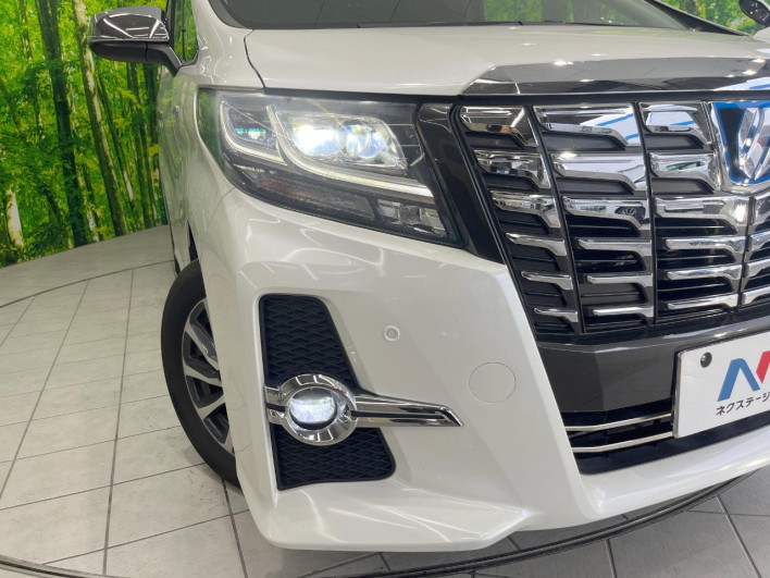2017 Toyota Alphard Hybrid DAA-AYH30W (UW-6a0d257e28677)[14]