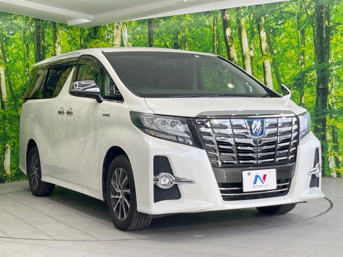 2017 Toyota Alphard Hybrid DAA-AYH30W (UW-6a0d257e28677)[10]