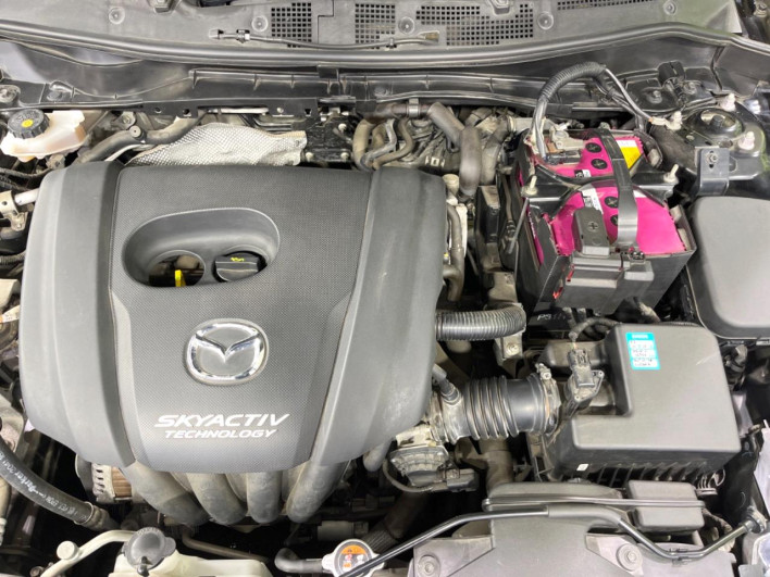2014 Mazda Demio DBA-DJ3FS (UW-6a0d25aeeea32)[4]