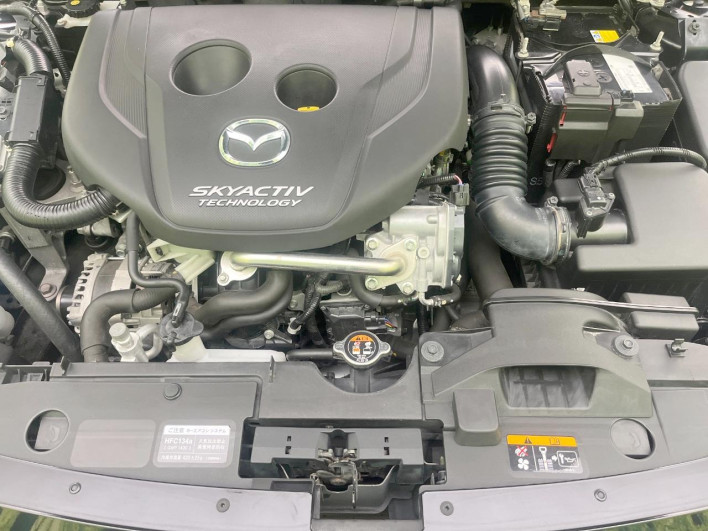 2016 Mazda Demio LDA-DJ5FS (UW-6a0d25b01b93b)[4]