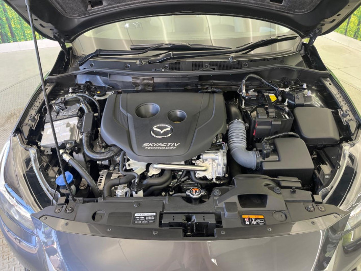 2017 Mazda Demio LDA-DJ5FS (UW-6a0d25b03e986)[12]