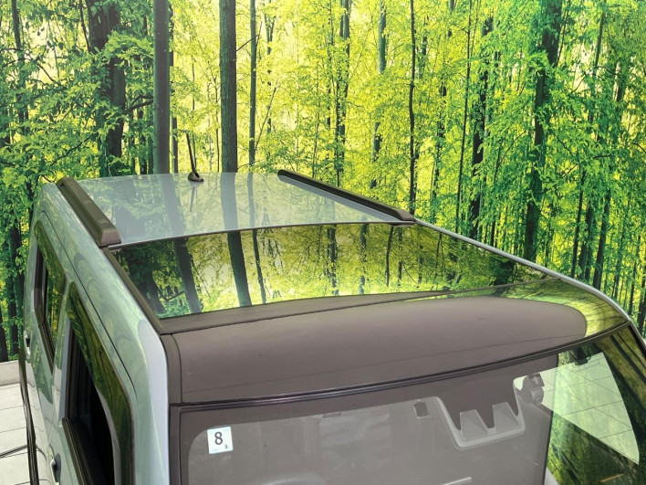 2020 Daihatsu Taft 5BA-LA900S (UW-6a0d2661c2756)[12]
