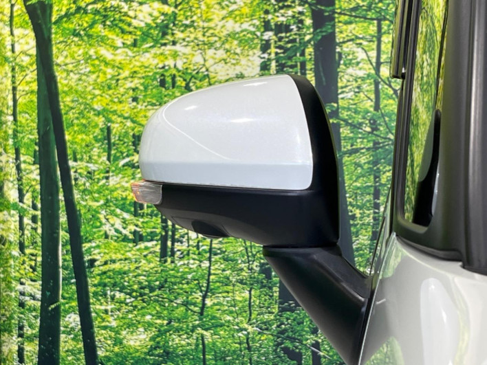 2020 Daihatsu Toll DBA-M900S (UW-6a0d266ddd0d2)[17]