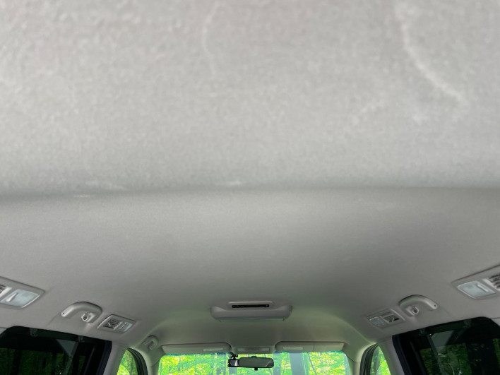 2014 Nissan Elgrand DBA-TE52 (UW-6a0d26fbad2cd)[27]