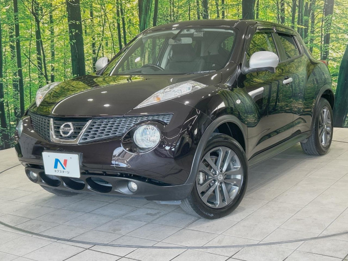 2013 Nissan JUKE DBA-YF15 (UW-6a0d27199c2fc)[0]