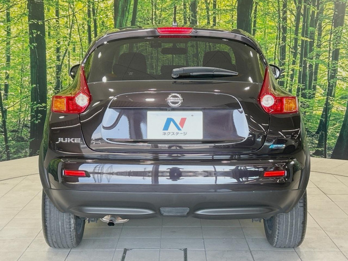 2013 Nissan JUKE DBA-YF15 (UW-6a0d27199c2fc)[20]