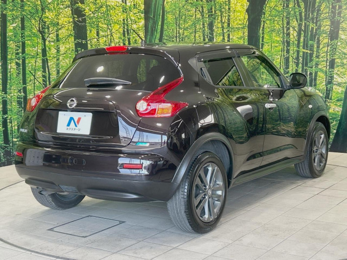2013 Nissan JUKE DBA-YF15 (UW-6a0d27199c2fc)[21]