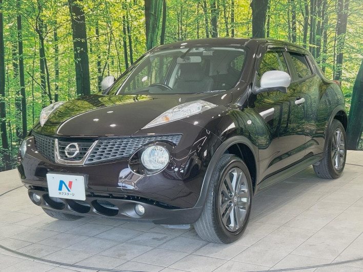 2013 Nissan JUKE DBA-YF15 (UW-6a0d27199c2fc)[5]