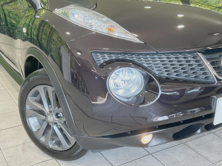 2013 Nissan JUKE DBA-YF15 (UW-6a0d27199c2fc)[26]