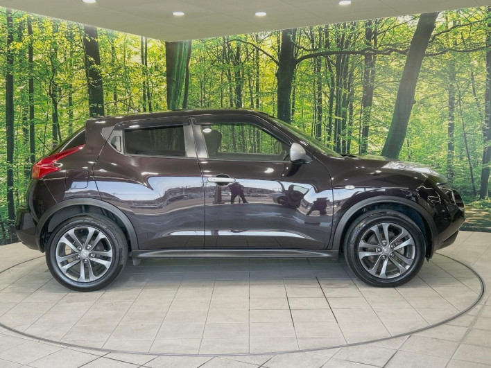 2013 Nissan JUKE DBA-YF15 (UW-6a0d27199c2fc)[22]