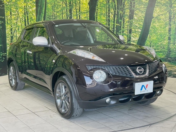 2013 Nissan JUKE DBA-YF15 (UW-6a0d27199c2fc)[23]