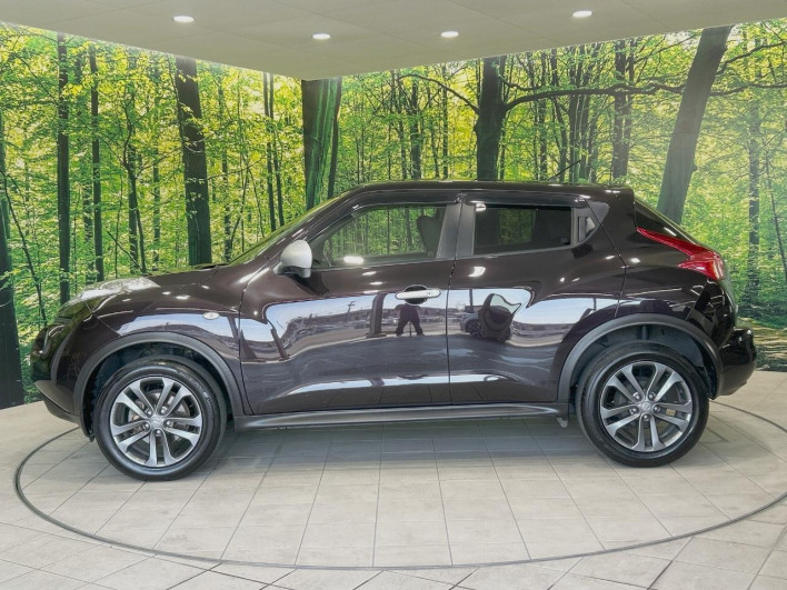 2013 Nissan JUKE DBA-YF15 (UW-6a0d27199c2fc)[6]